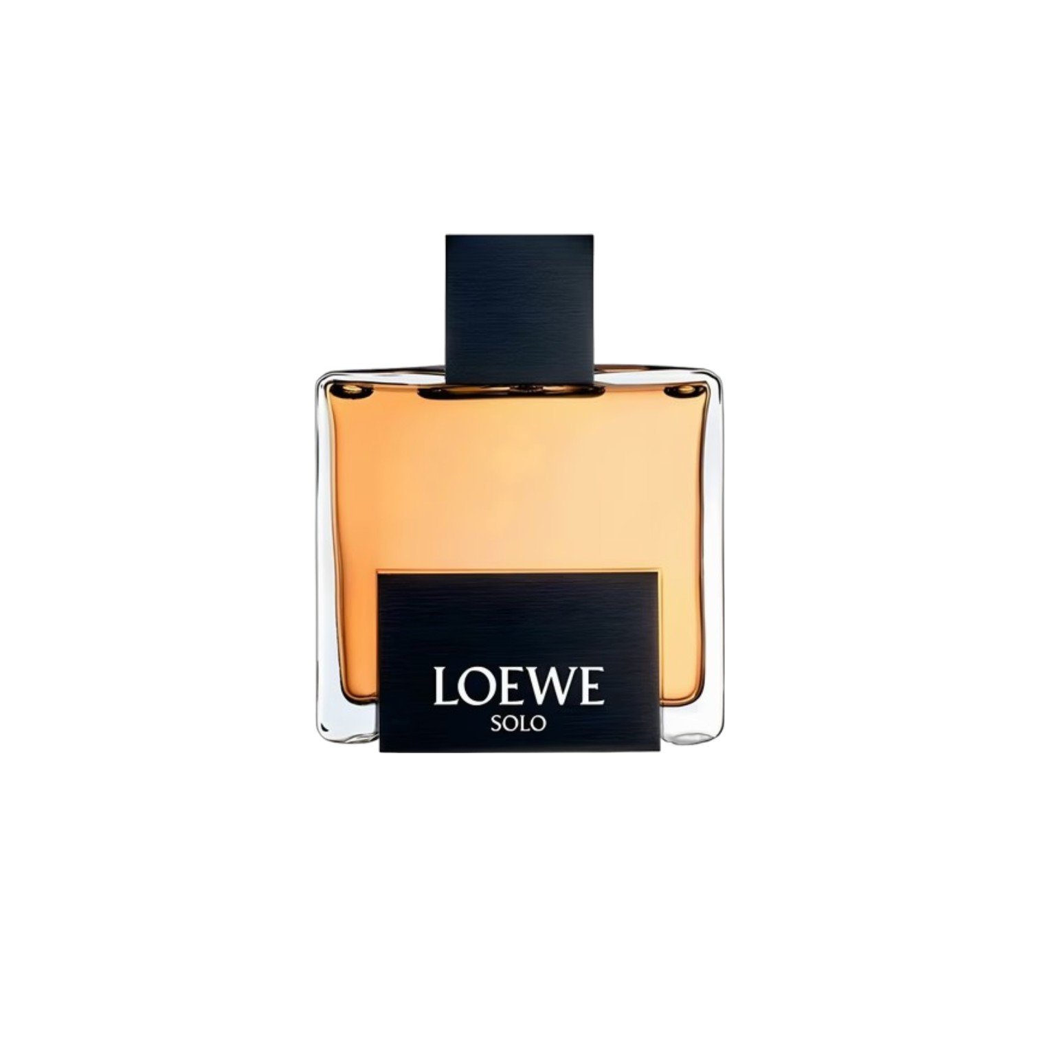 SOLO LOEWE